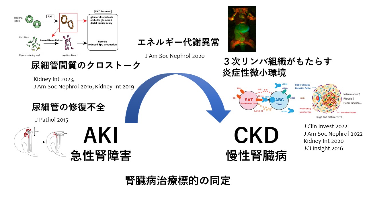 腎臓内科学 | 京都大学大学院医学研究科・医学部 腎臓内科学 | 京都大学大学院医学研究科・医学部